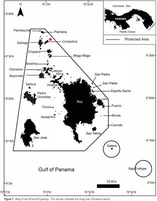 Tourist Knowledge, Pro-Conservation Intentions, and Tourist Concern for the Impacts of Whale-Watching in Las Perlas Archipelago, Panama